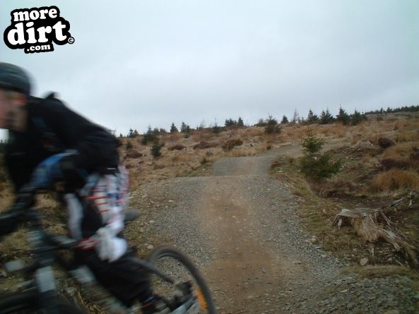 Freeride - Cwmcarn