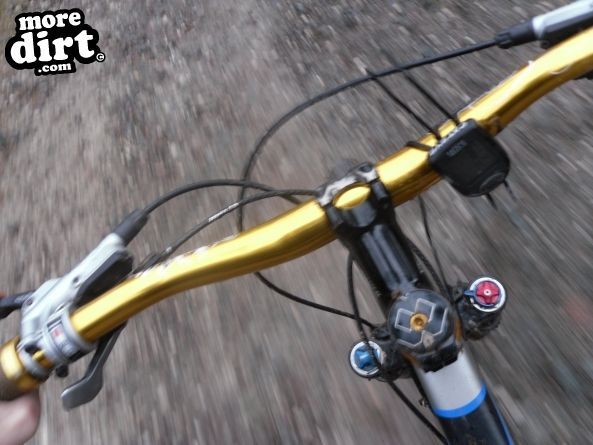 Follow the Dog Trail - Cannock Chase