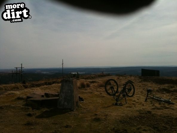 Lonesome Pine Trail - Kielder Forest
