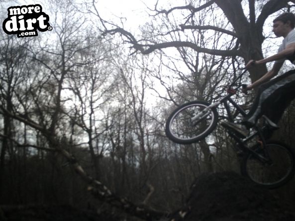 Foxhall Stadium Forest Trails