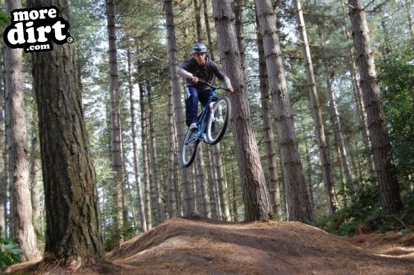 Delamere Forest Mountain Bike Trails