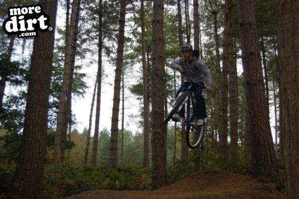 Delamere Forest Mountain Bike Trails