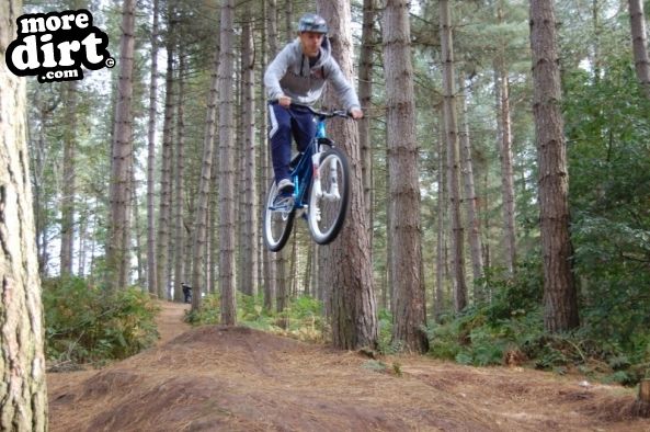 Delamere Forest Mountain Bike Trails