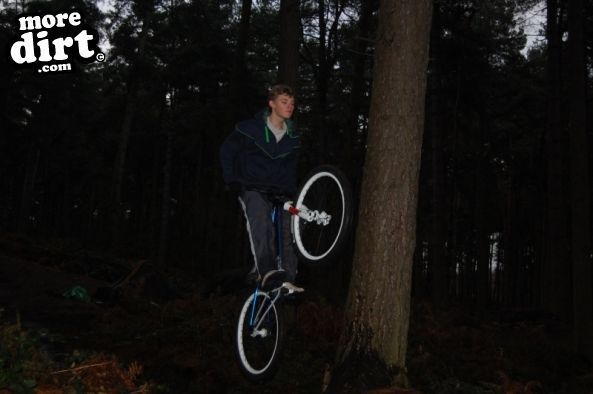 Delamere Forest Mountain Bike Trails