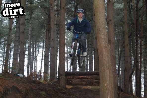 Delamere Forest Mountain Bike Trails