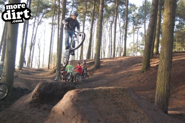 Delamere Forest Mountain Bike Trails