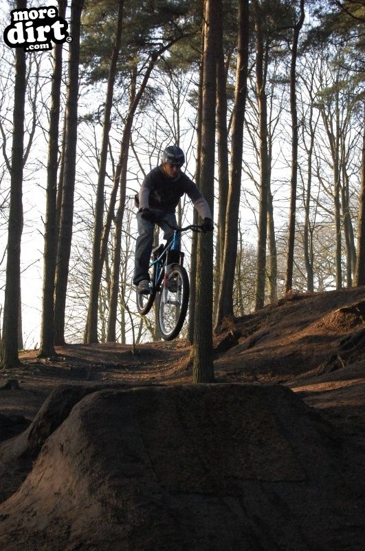 Delamere Forest Mountain Bike Trails