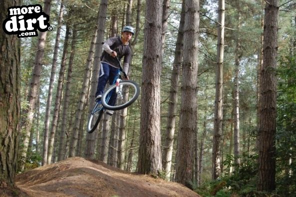 Delamere Forest Mountain Bike Trails