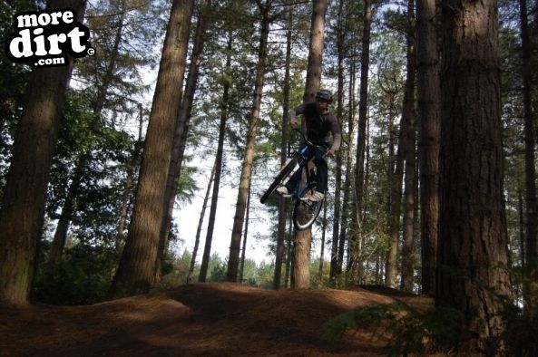 Delamere Forest Mountain Bike Trails