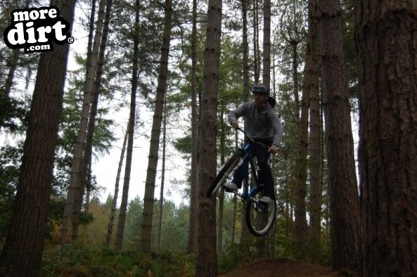 Delamere Forest Mountain Bike Trails