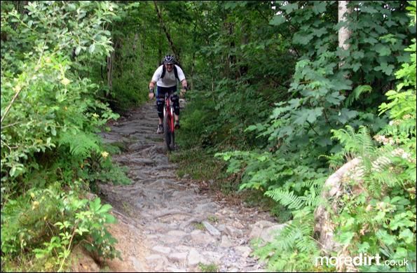 Dragons Back Trail - Coed-y-Brenin