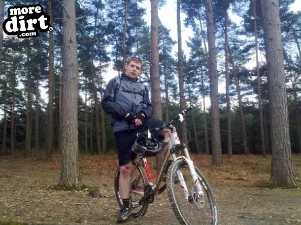Swinley Forest Mountain Bike Centre