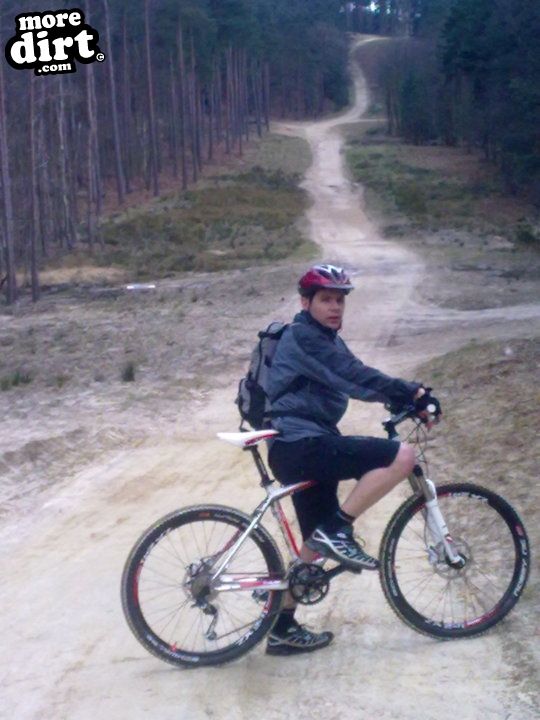 Swinley Forest Mountain Bike Centre