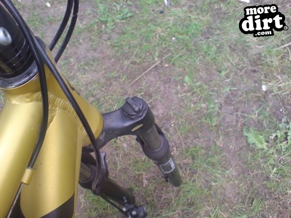 Beater Trail - Thetford Forest