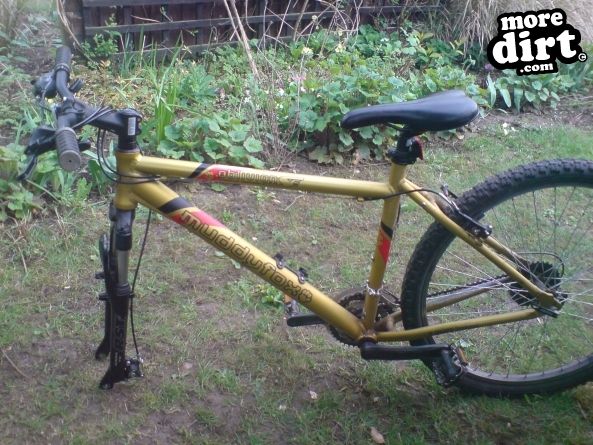 Beater Trail - Thetford Forest