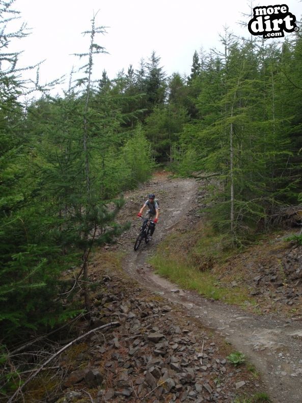 Innerleithen Mountain Bike Trails