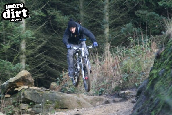 Dalby Forest Red Trail