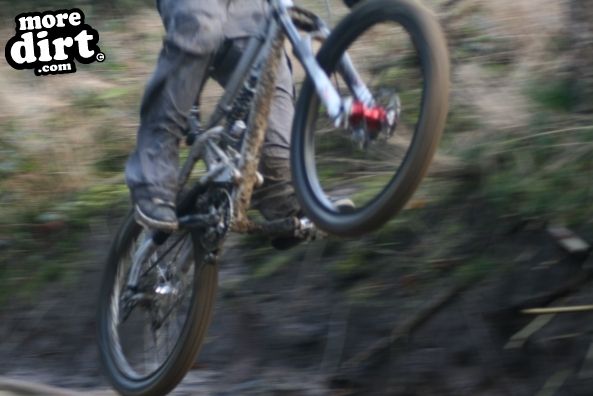 Dalby Forest Red Trail