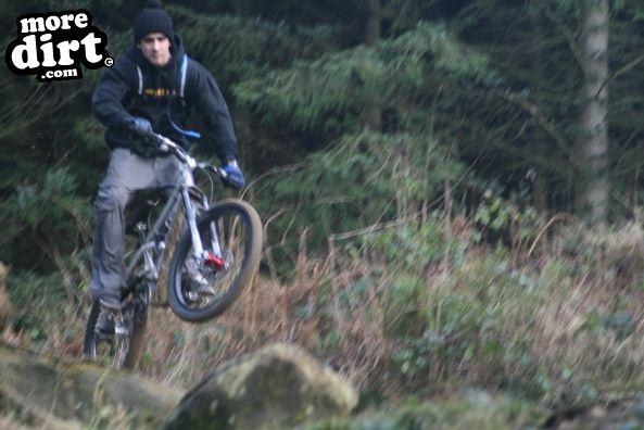 Dalby Forest Red Trail