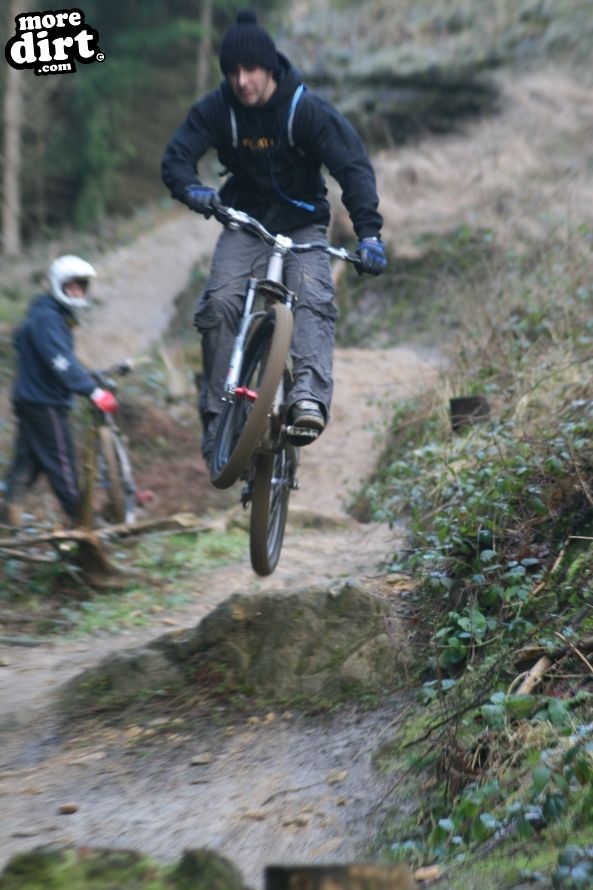 Dalby Forest Red Trail