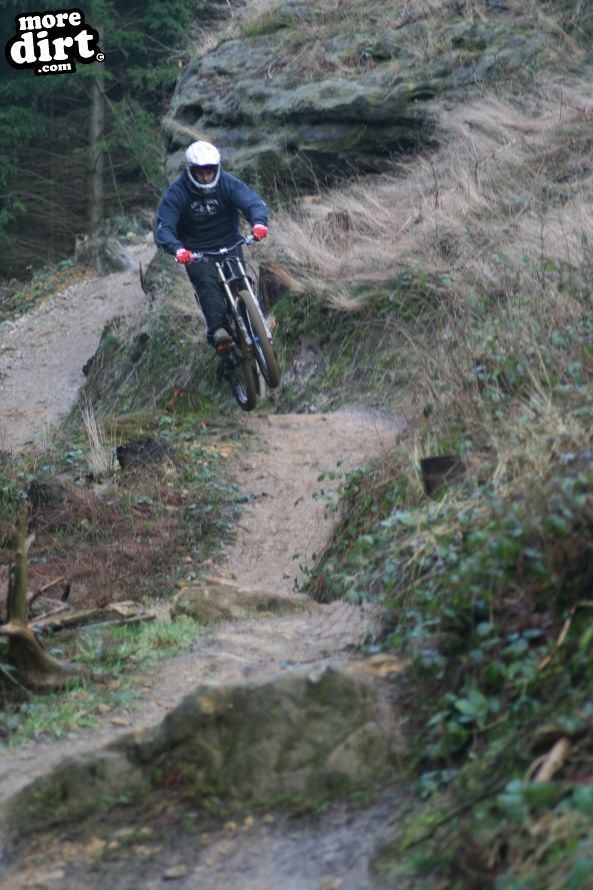 Dalby Forest Red Trail