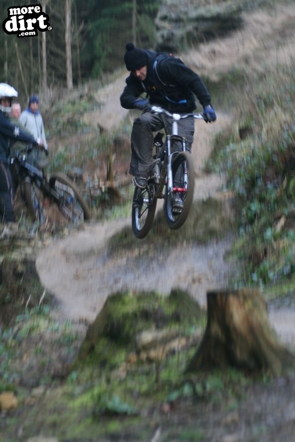 Dalby Forest Red Trail