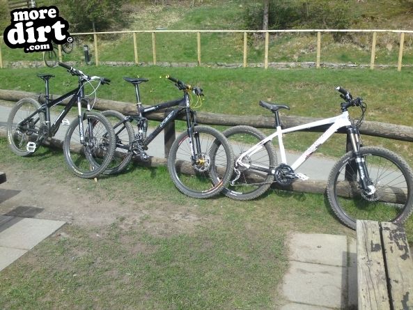 Altura Trail - Whinlatter Forest