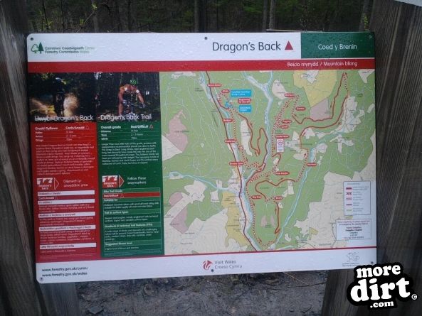 Dragons Back Trail - Coed-y-Brenin