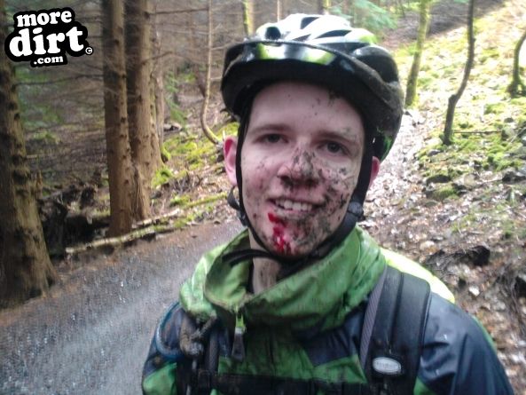 Dragons Back Trail - Coed-y-Brenin