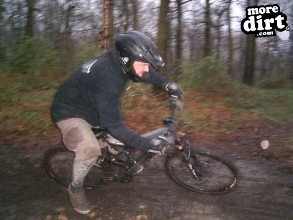 Silkstone Fall Woods