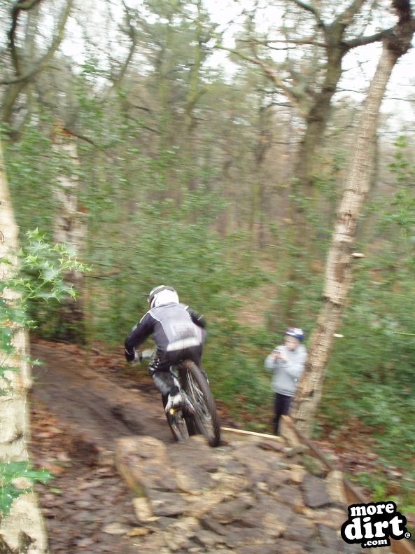 Silkstone Fall Woods