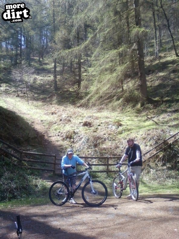 Freeride - Cwmcarn