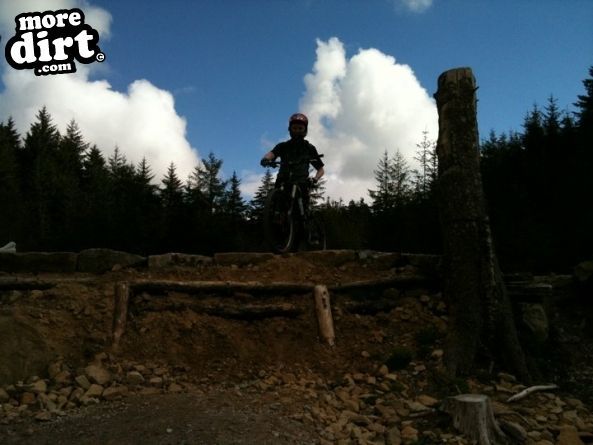 Gisburn Forest Mountain Bike Trails