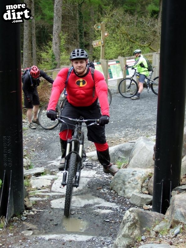 Dragons Back Trail - Coed-y-Brenin