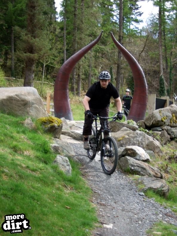 Tarw Trail - Coed-y-Brenin