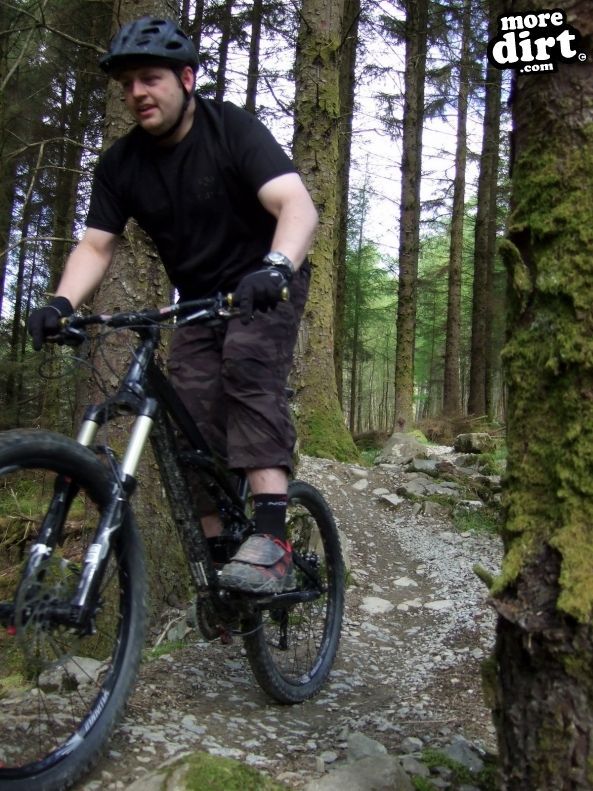 Tarw Trail - Coed-y-Brenin