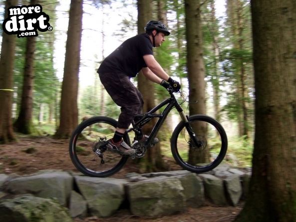 Tarw Trail - Coed-y-Brenin