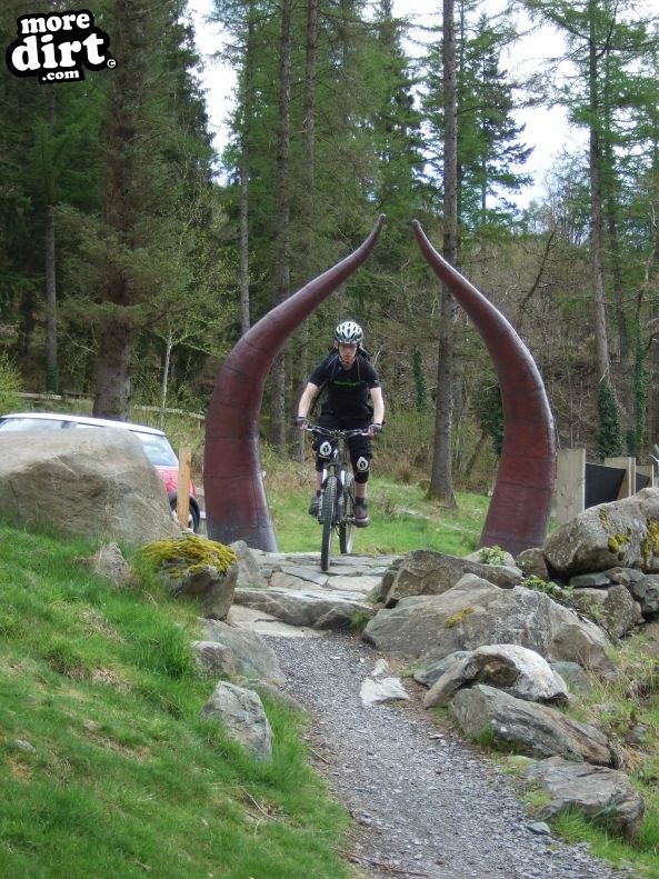 Tarw Trail - Coed-y-Brenin