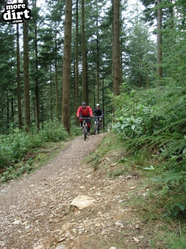 Dragons Back Trail - Coed-y-Brenin