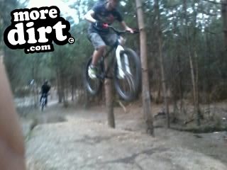 Swinley Forest Mountain Bike Centre