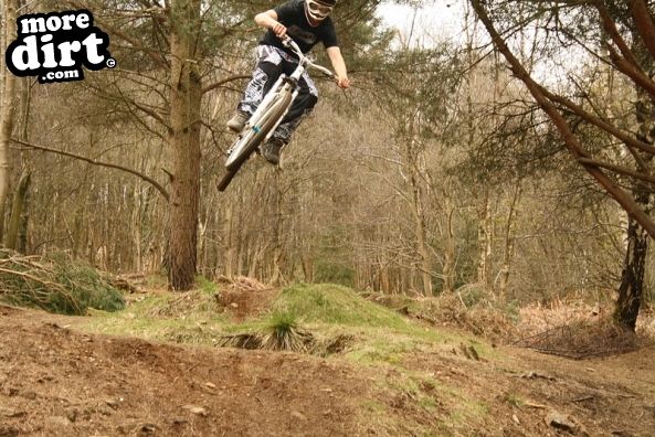Swinley Forest Mountain Bike Centre