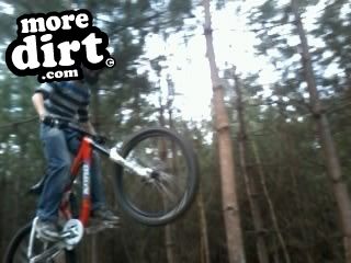 Swinley Forest Mountain Bike Centre