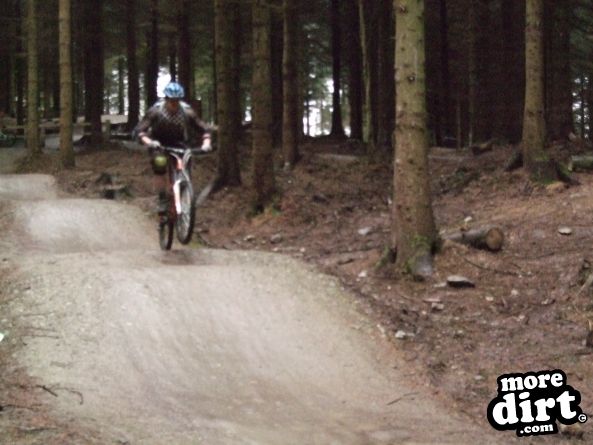 Skills Area - Coed Llandegla Forest