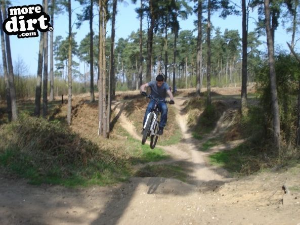 Lime Burner Trail - Thetford Forest