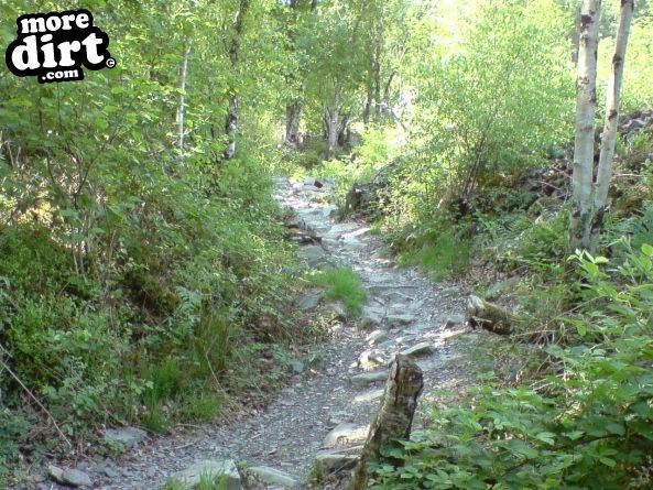 Tarw Trail - Coed-y-Brenin