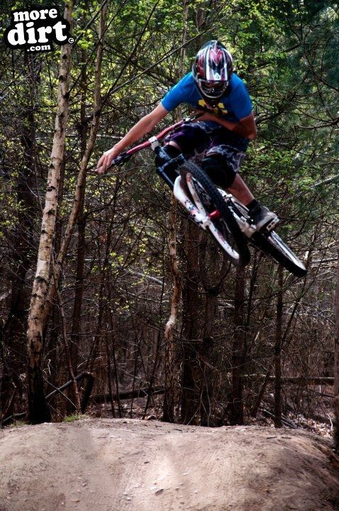 Swinley Forest Mountain Bike Centre