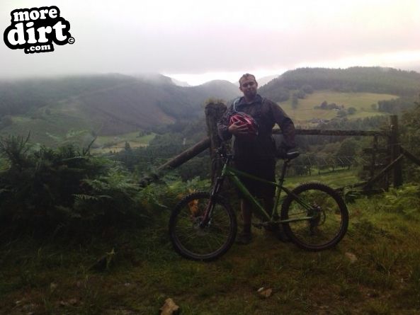 The Beast Trail - Coed-y-Brenin