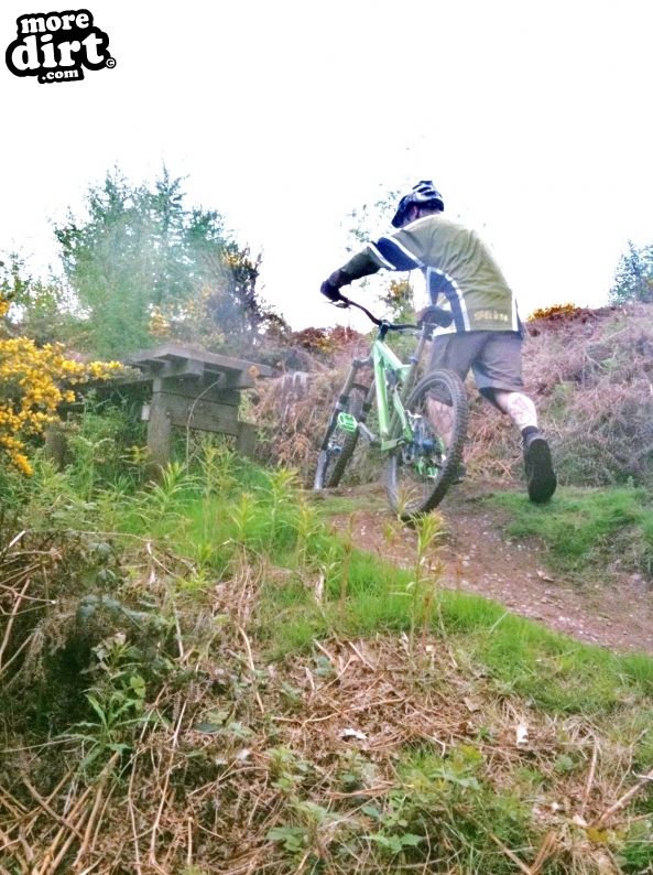 Stile Cop Bike Park