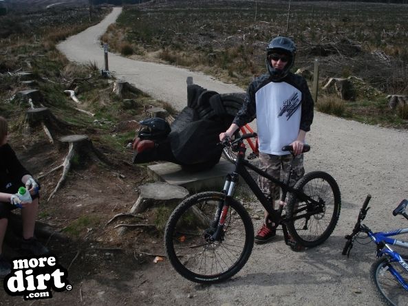 Blue Trail - Coed Llandegla Forest