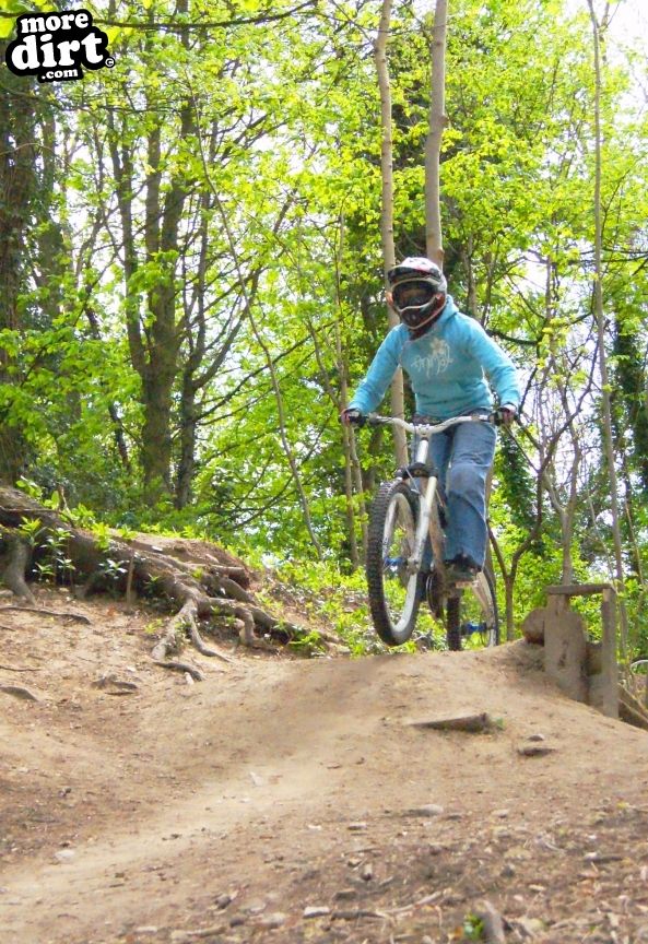 Beginning of the main line.